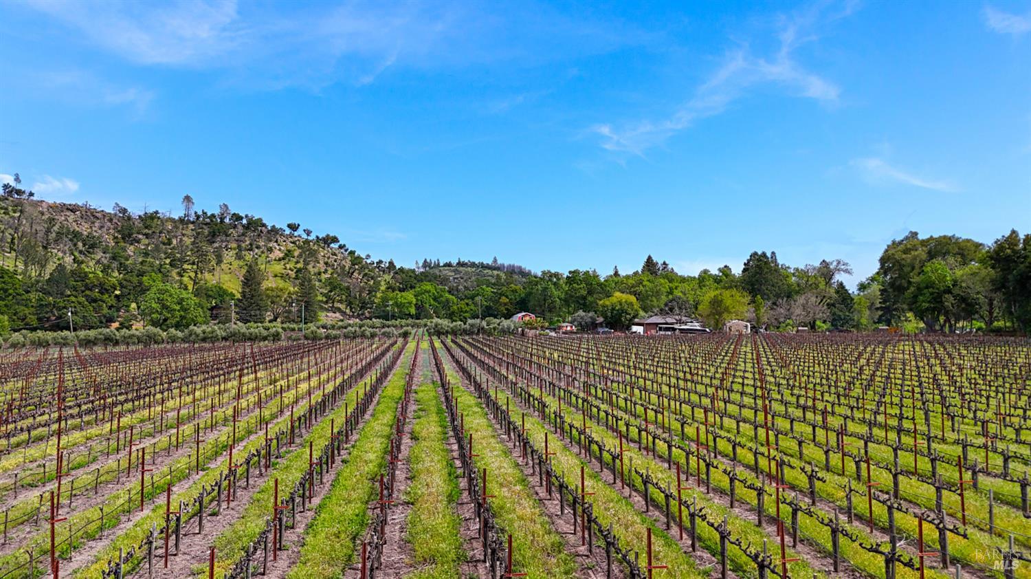 3867 Silverado Trail Calistoga CA 94515
