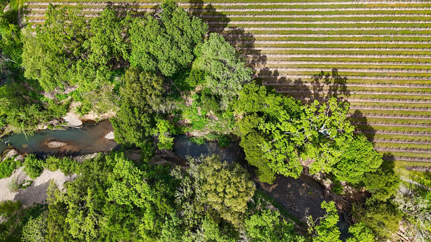 3867 Silverado Trail Calistoga CA 94515
