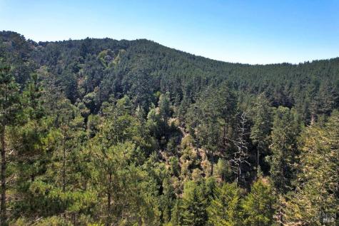 0 W Robert Drive Inverness CA 94937