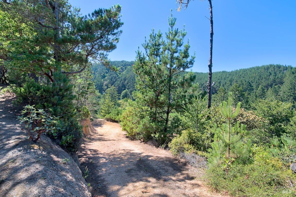 0 W Robert Drive Inverness CA 94937