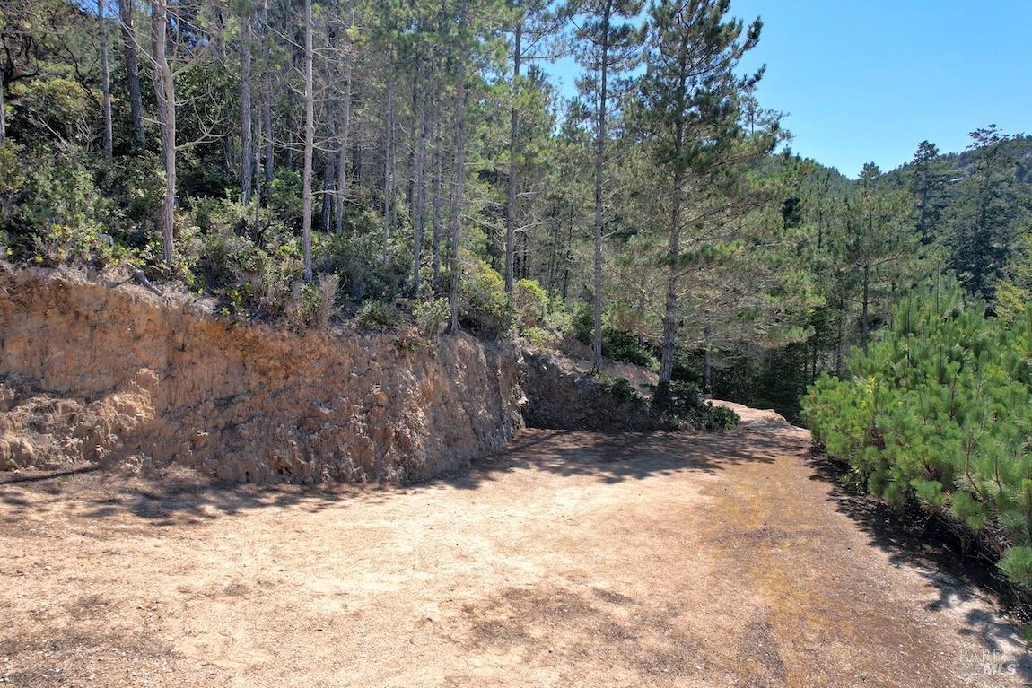 0 W Robert Drive Inverness CA 94937