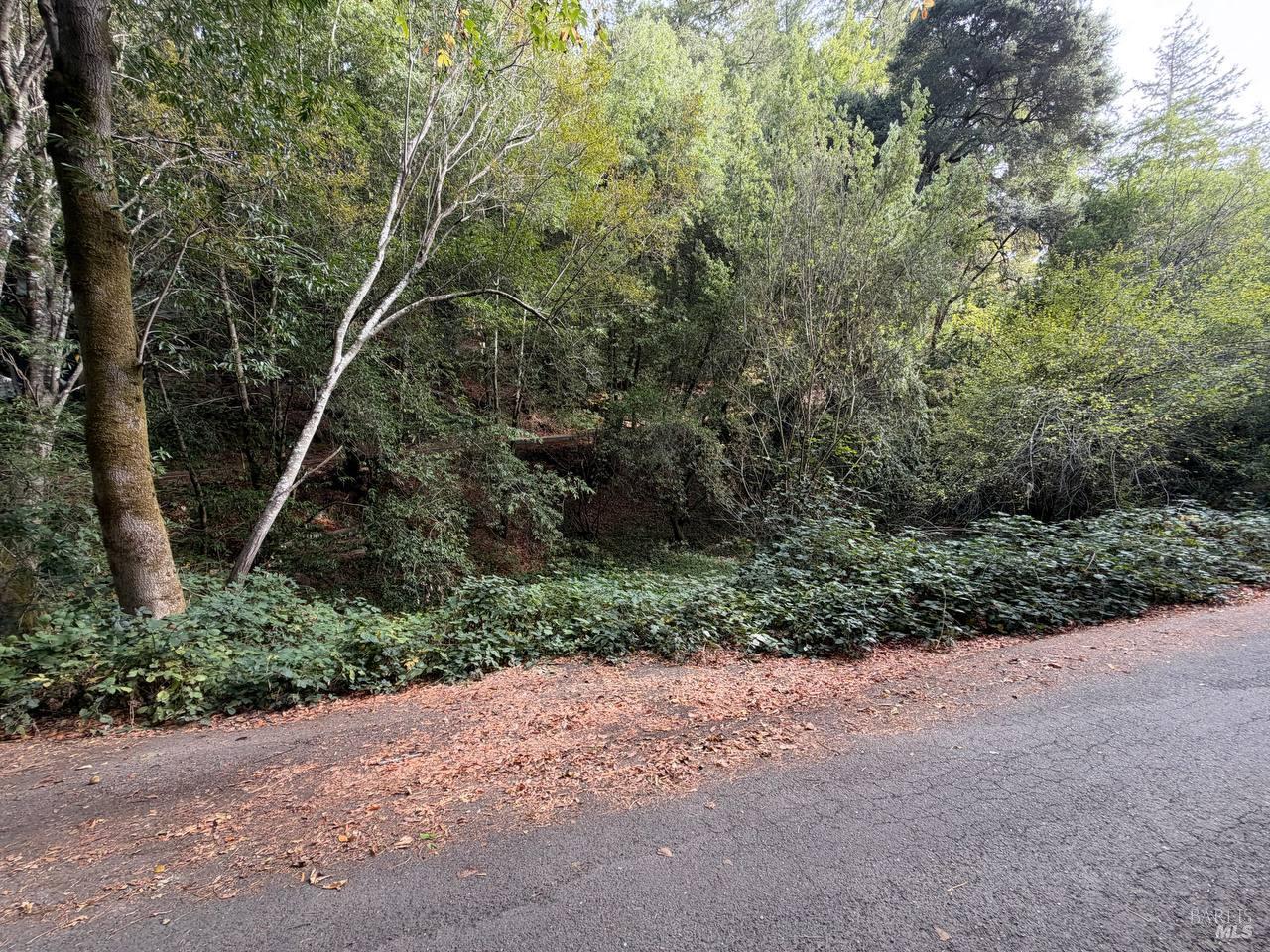 63 Morelli Lane Camp Meeker CA 95419