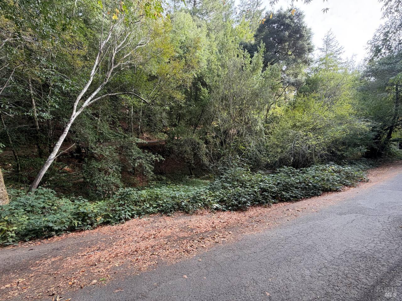 63 Morelli Lane Camp Meeker CA 95419