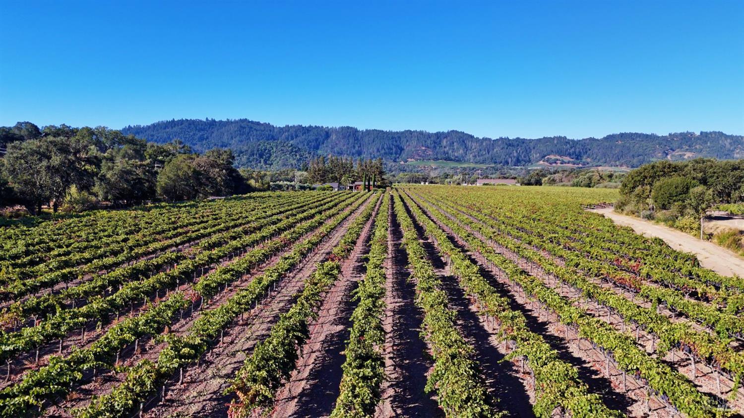 7558 Saint Helena Highway Napa CA 94558