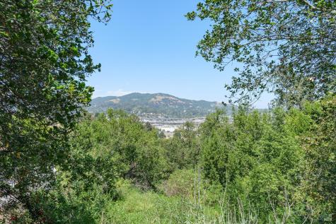 236 Tiburon Boulevard San Rafael CA 94901