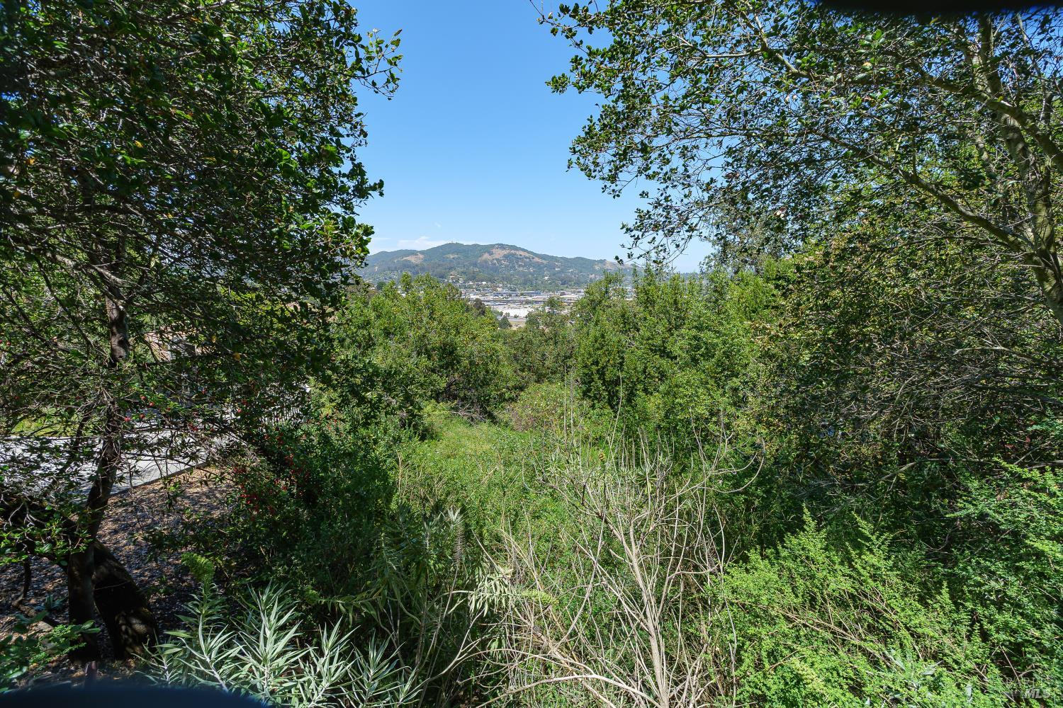 236 Tiburon Boulevard San Rafael CA 94901
