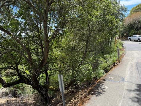 236 Tiburon Boulevard San Rafael CA 94901