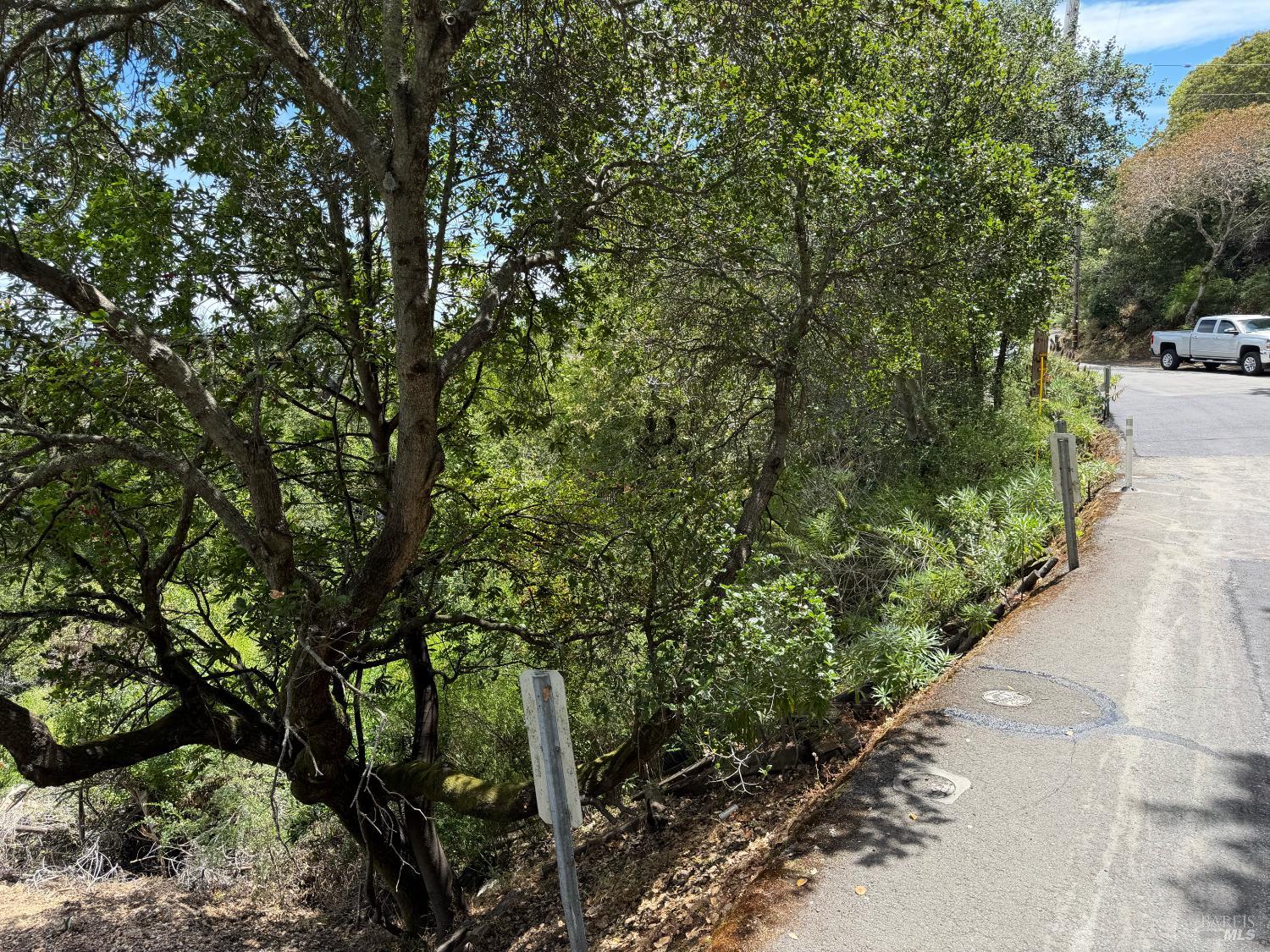 236 Tiburon Boulevard San Rafael CA 94901