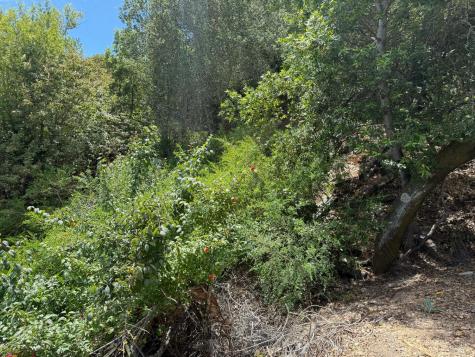 236 Tiburon Boulevard San Rafael CA 94901