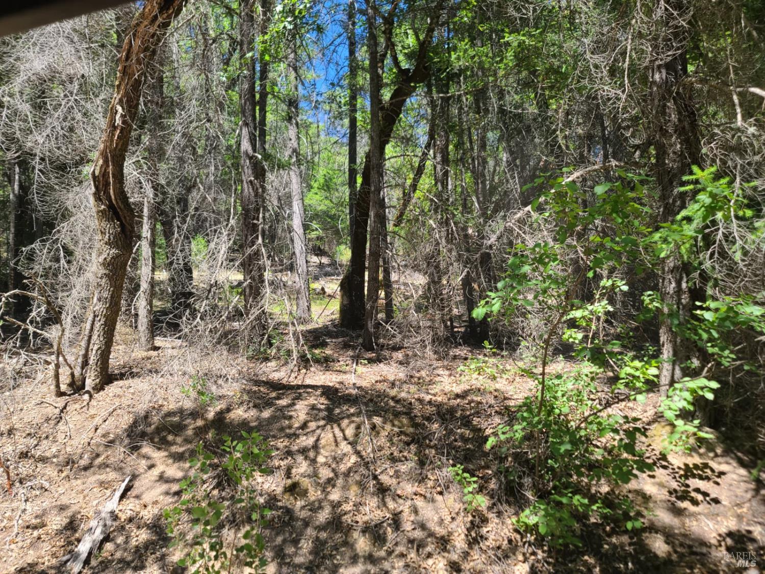0 0 Pigeon Ridge Road Covelo CA 95428