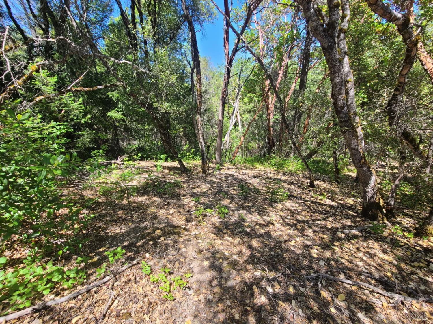 0 0 Pigeon Ridge Road Covelo CA 95428