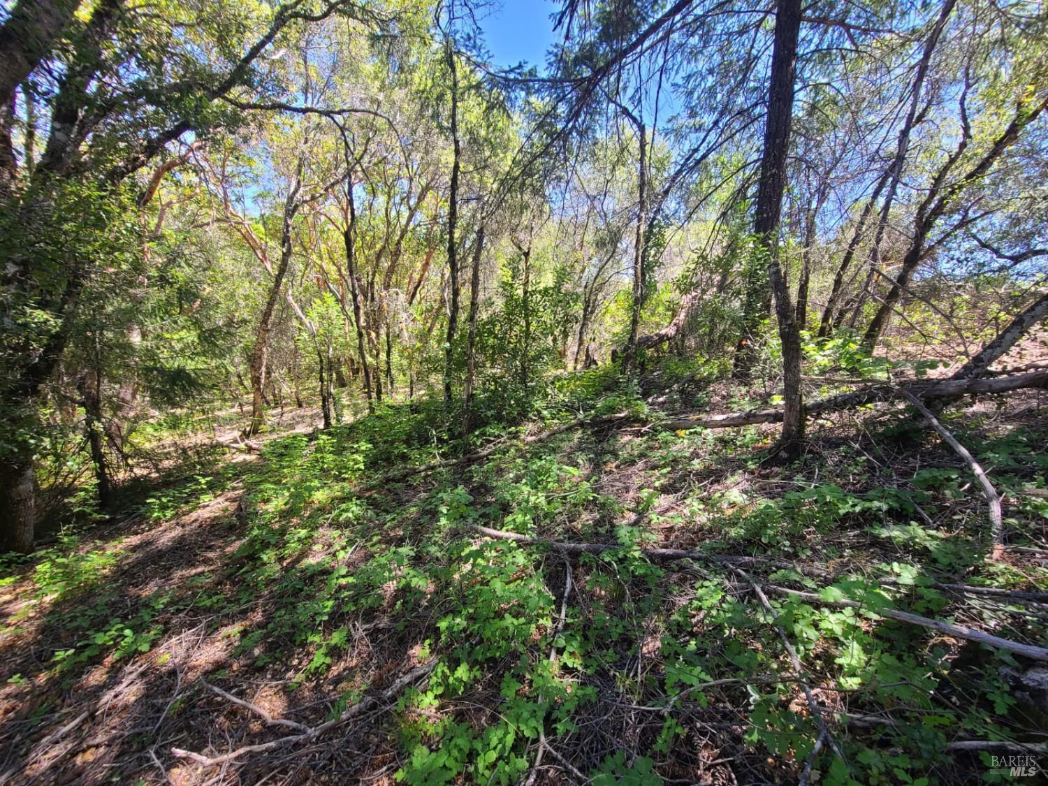 0 0 Pigeon Ridge Road Covelo CA 95428