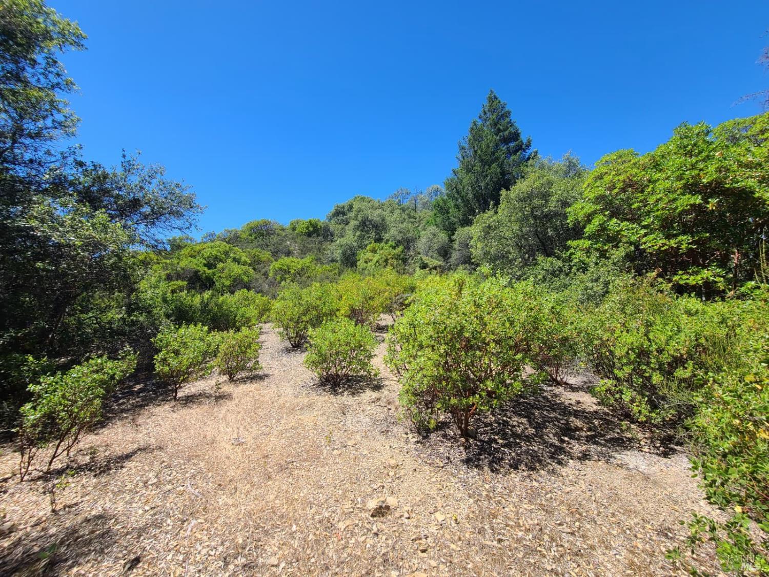 0 0 Pigeon Ridge Road Covelo CA 95428