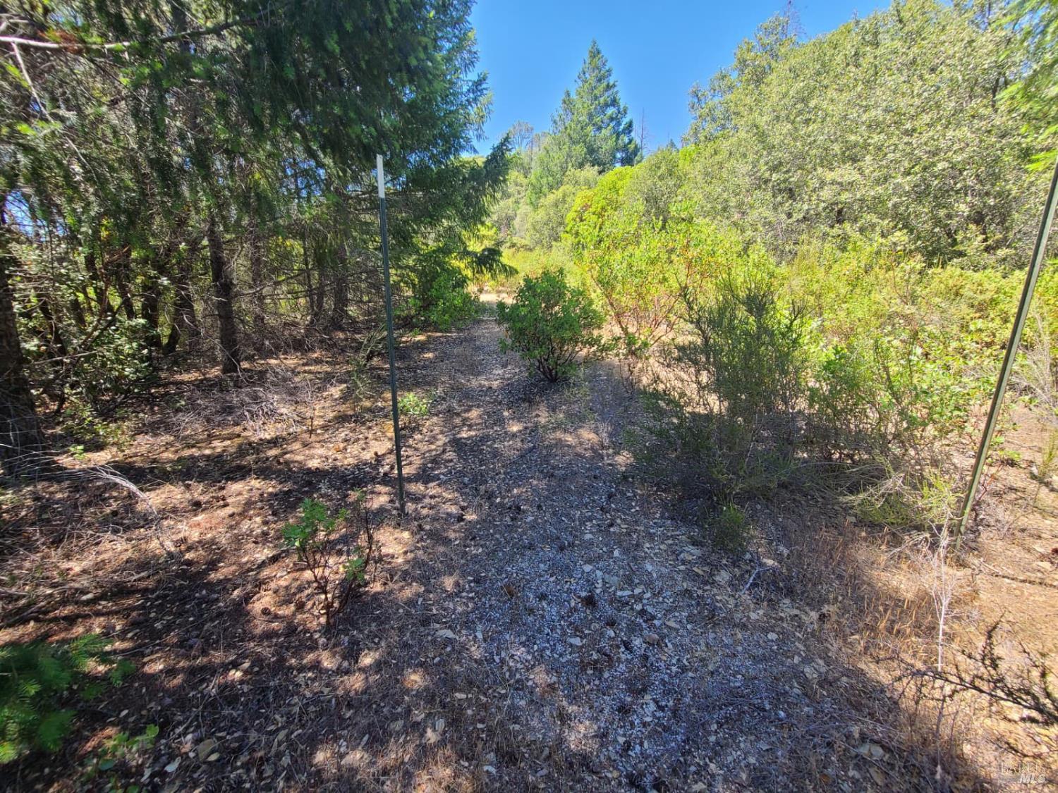 0 0 Pigeon Ridge Road Covelo CA 95428