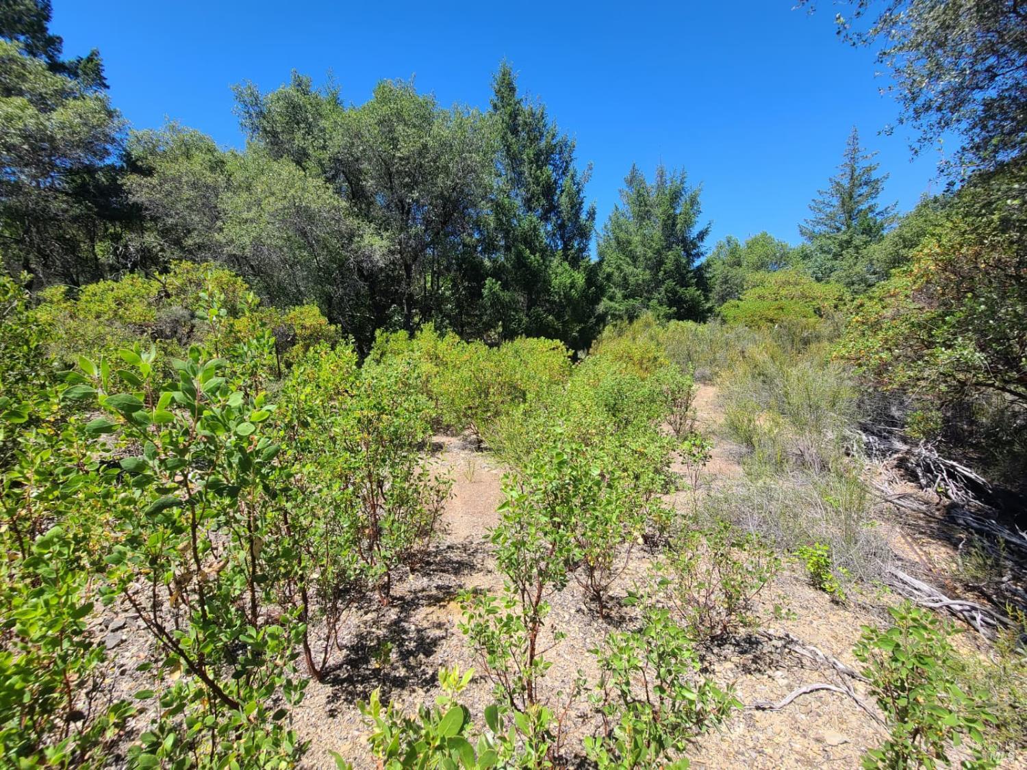 0 0 Pigeon Ridge Road Covelo CA 95428