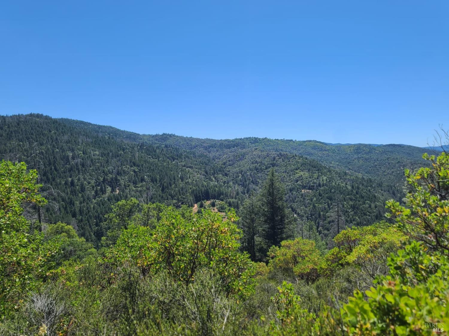 0 0 Pigeon Ridge Road Covelo CA 95428