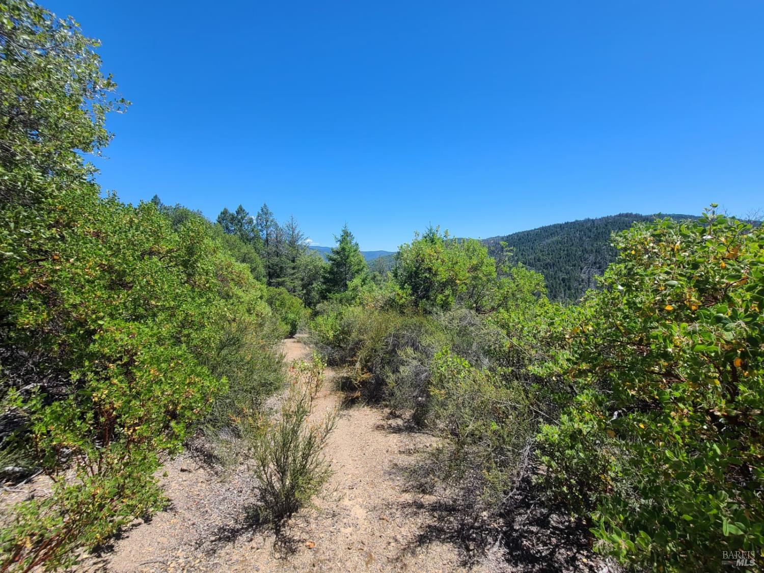 0 0 Pigeon Ridge Road Covelo CA 95428