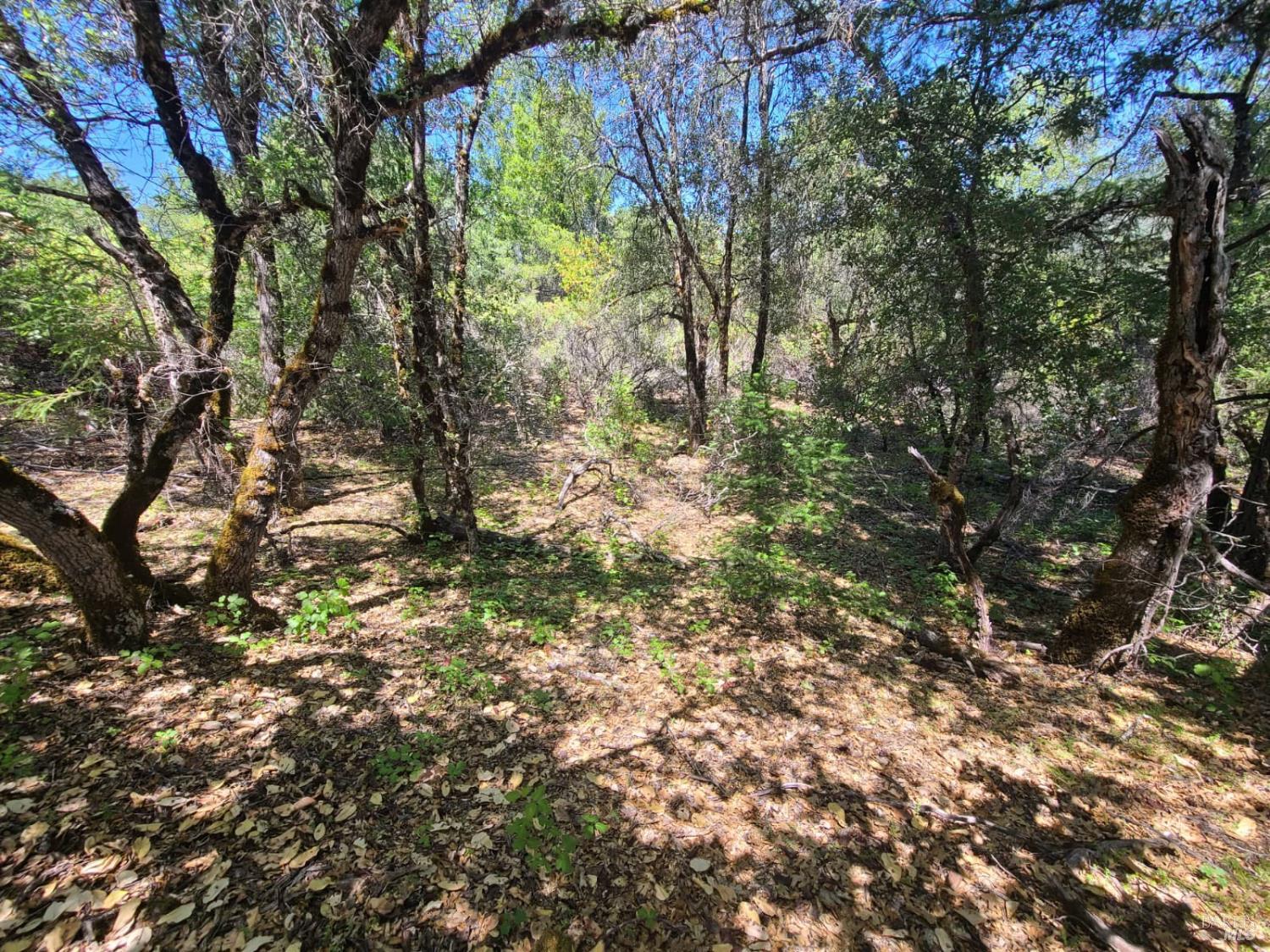 0 0 Pigeon Ridge Road Covelo CA 95428