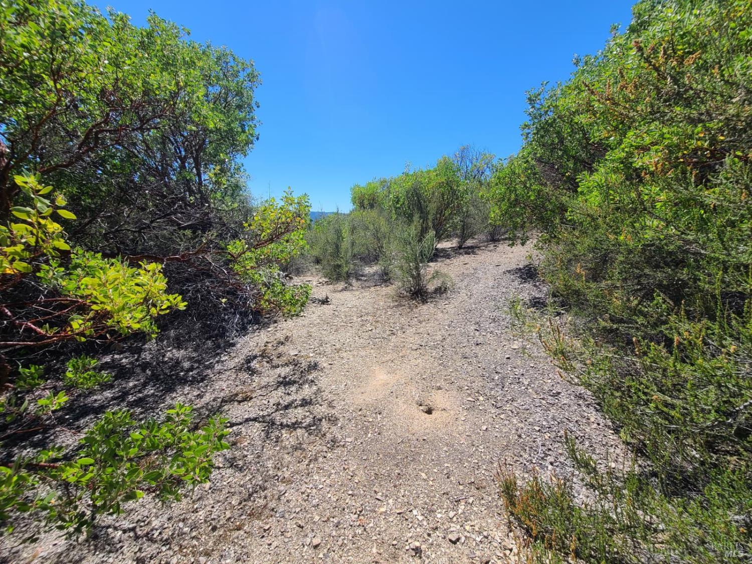 0 0 Pigeon Ridge Road Covelo CA 95428