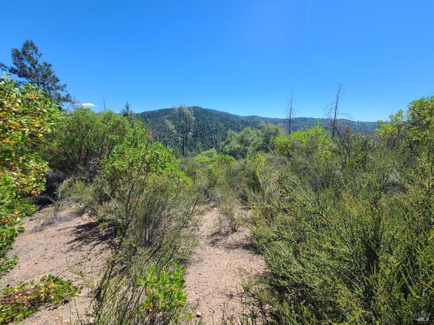0 0 Pigeon Ridge Road Covelo CA 95428