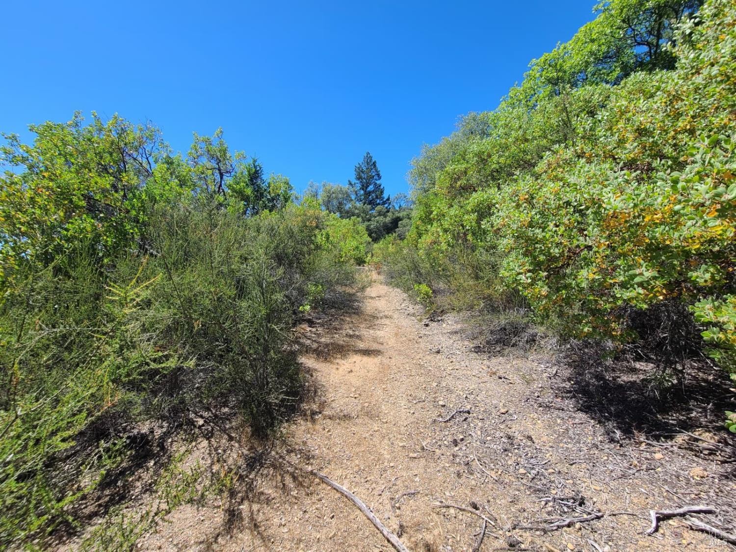 0 0 Pigeon Ridge Road Covelo CA 95428