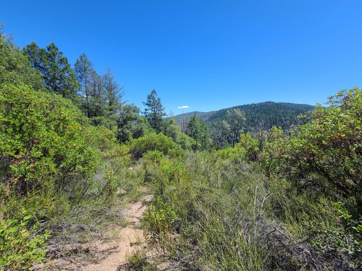 0 0 Pigeon Ridge Road Covelo CA 95428