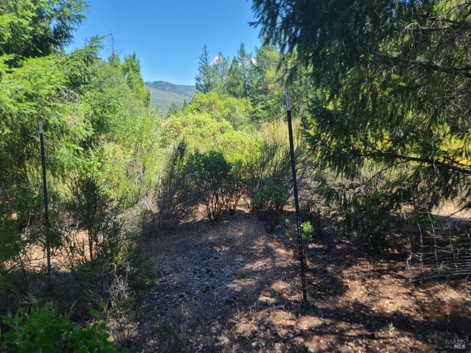 0 0 Pigeon Ridge Road Covelo CA 95428