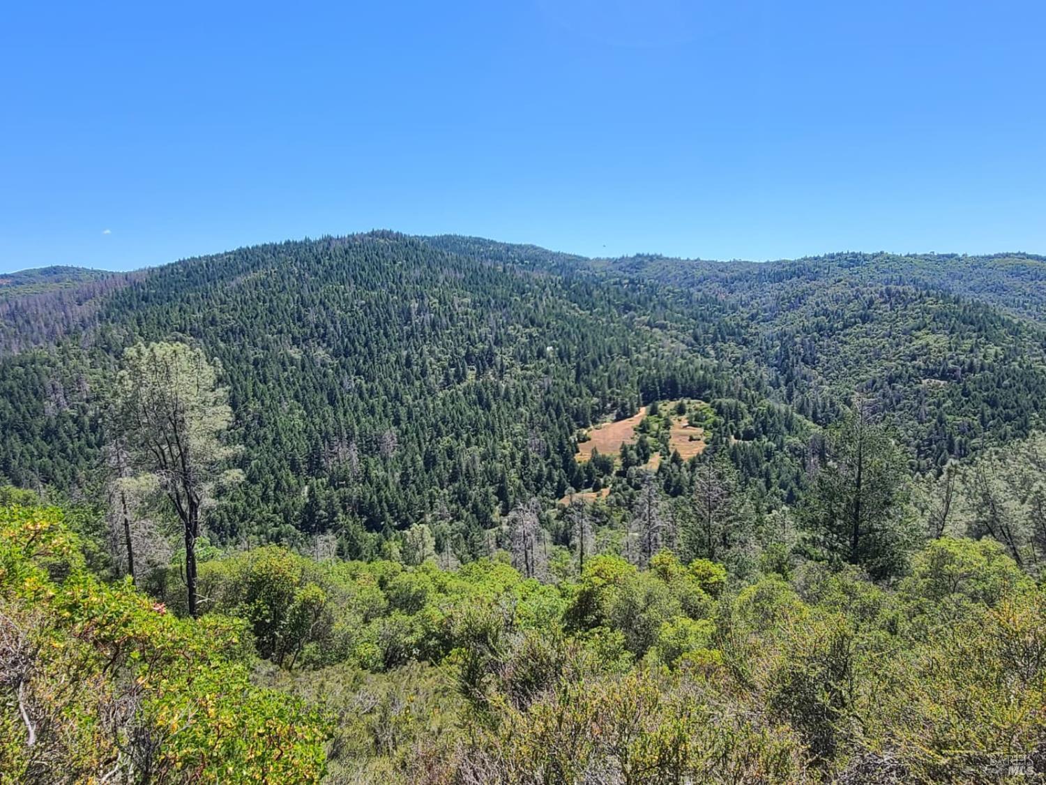 0 0 Pigeon Ridge Road Covelo CA 95428