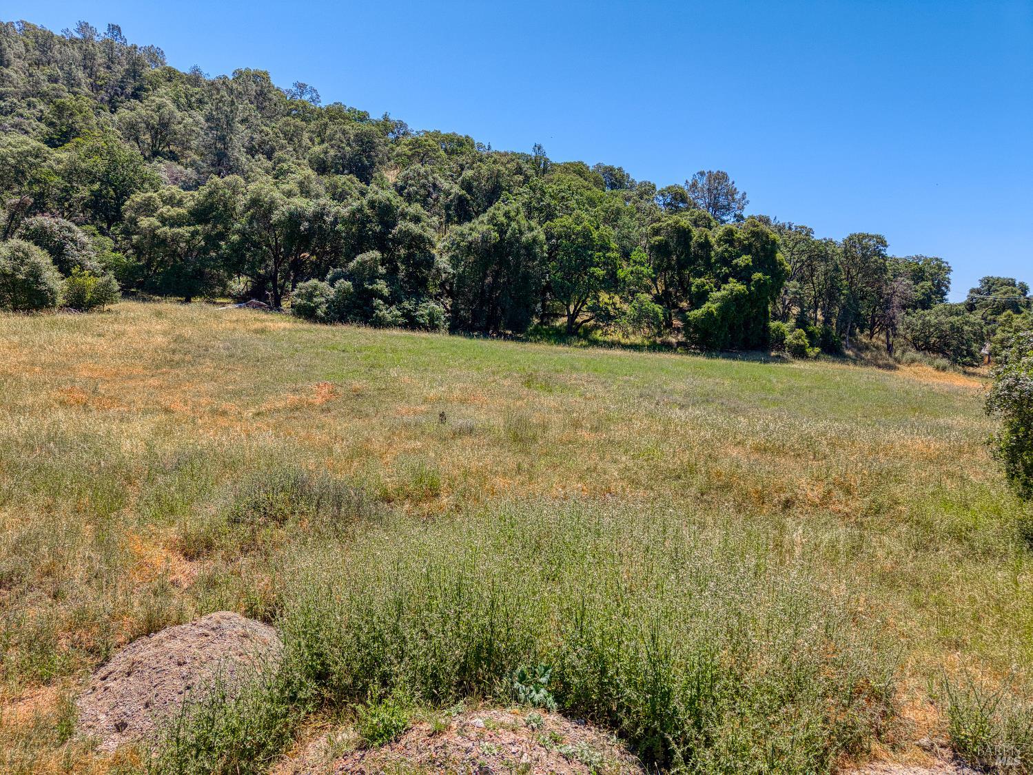 8520 E Highway 20 Lucerne CA 95458