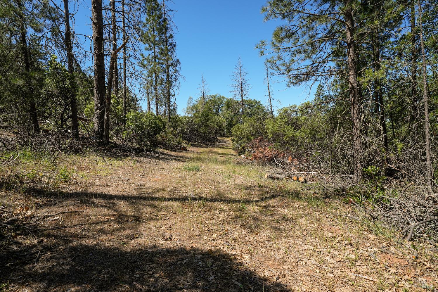 8520 E Highway 20 Lucerne CA 95458