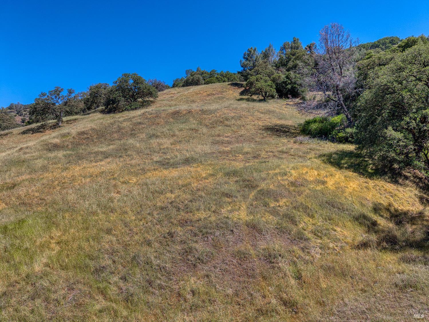 8520 E Highway 20 Lucerne CA 95458