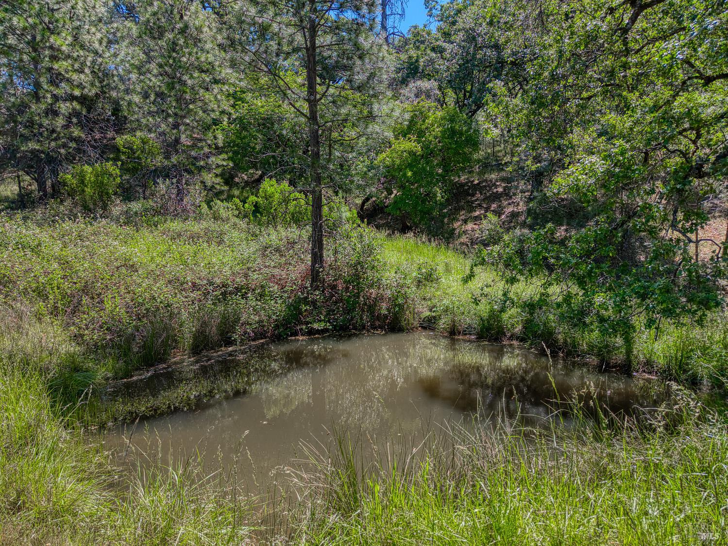 8520 E Highway 20 Lucerne CA 95458