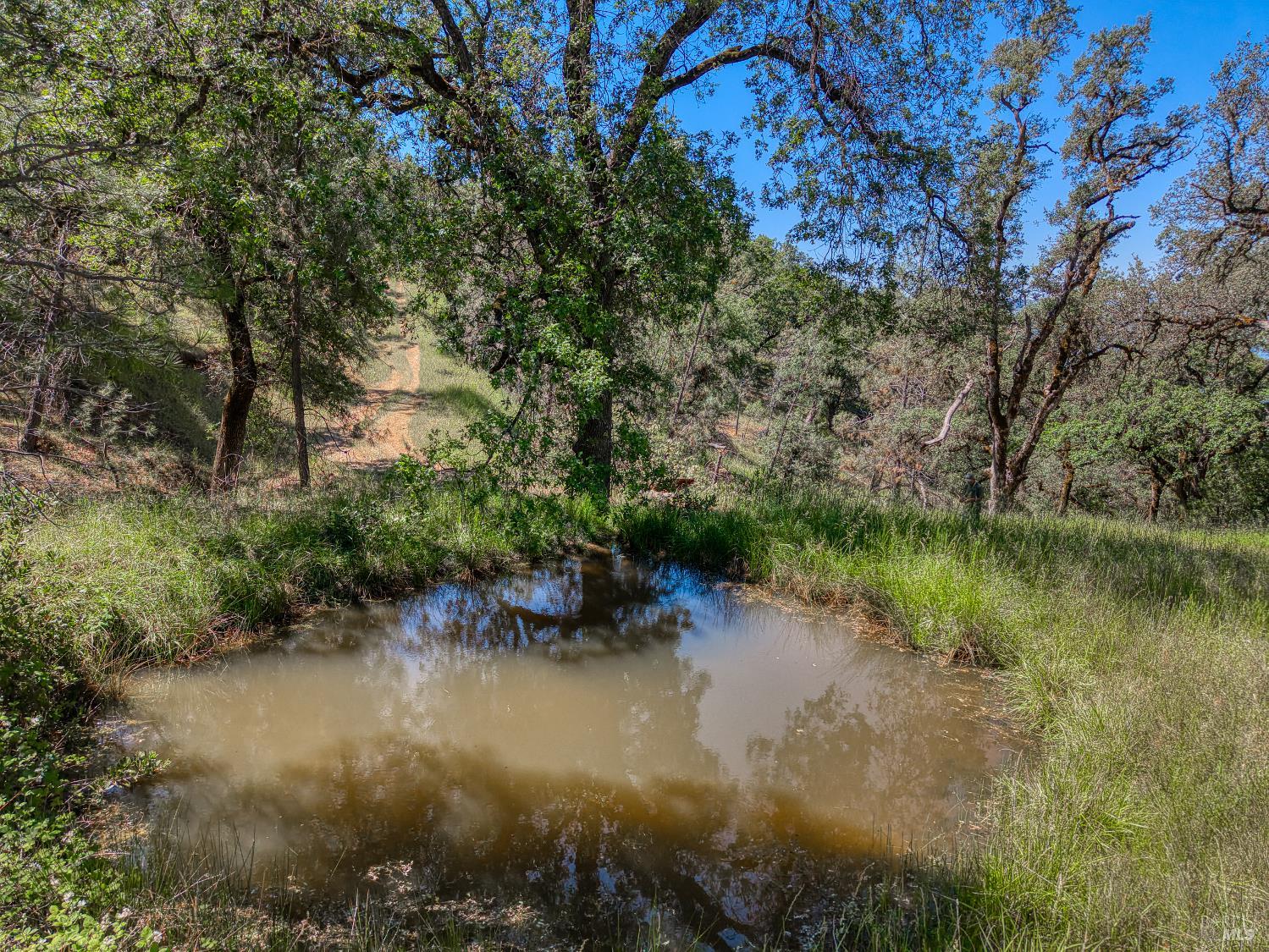 8520 E Highway 20 Lucerne CA 95458