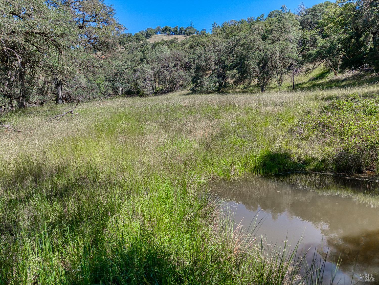 8520 E Highway 20 Lucerne CA 95458