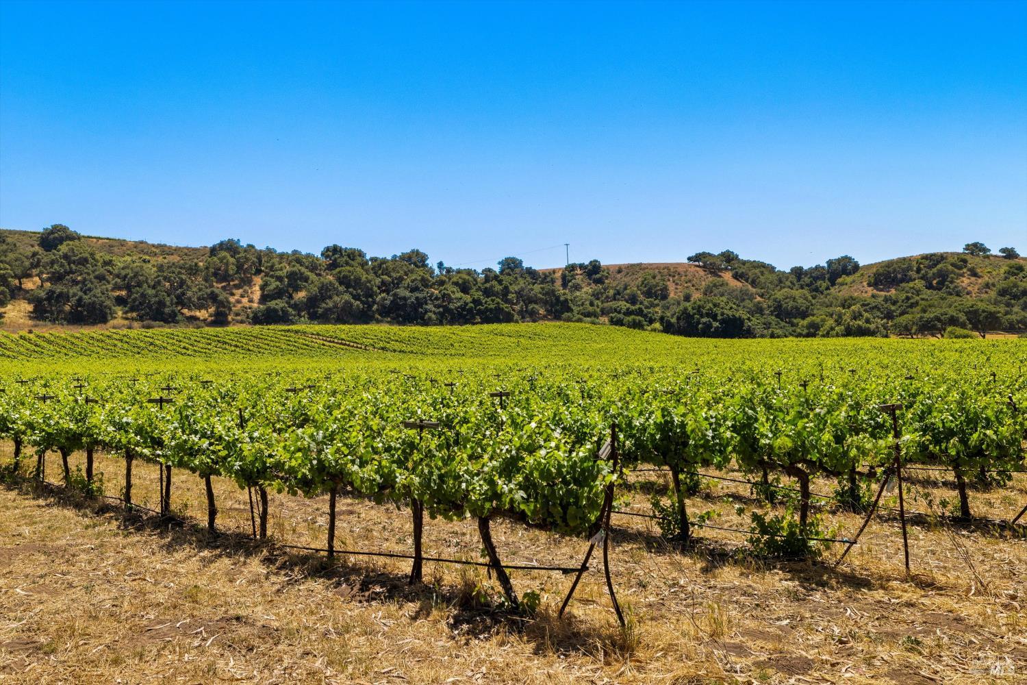 0 5533 Foxen Canyon Road Santa Maria CA 93454