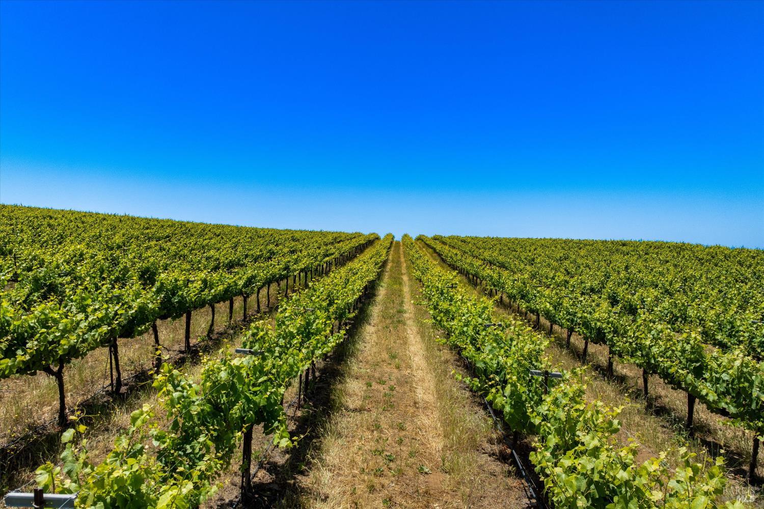 0 5533 Foxen Canyon Road Santa Maria CA 93454