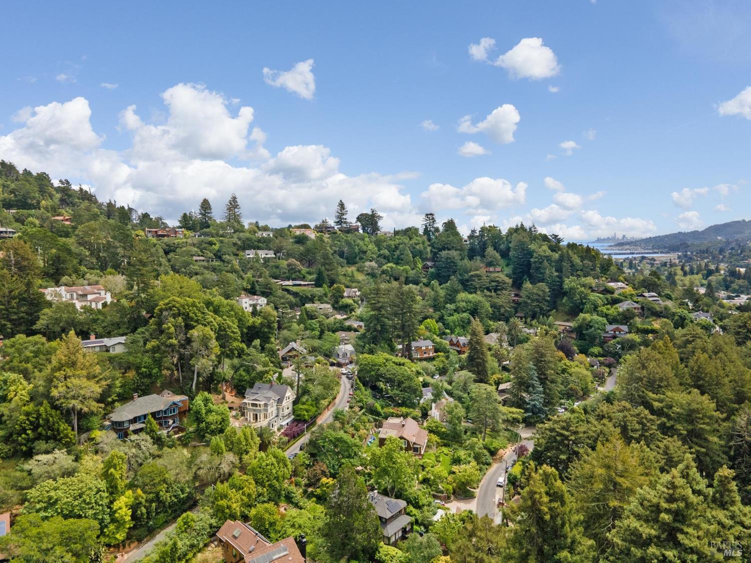 17 Coronet Avenue Mill Valley CA 94941