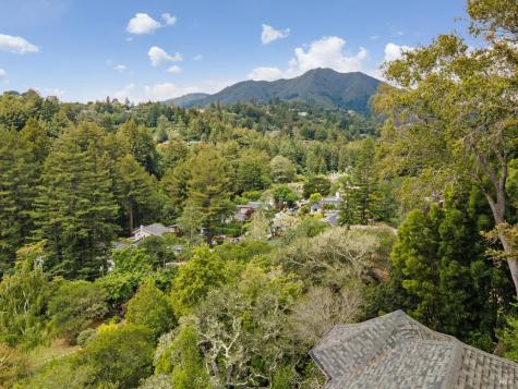 17 Coronet Avenue Mill Valley CA 94941