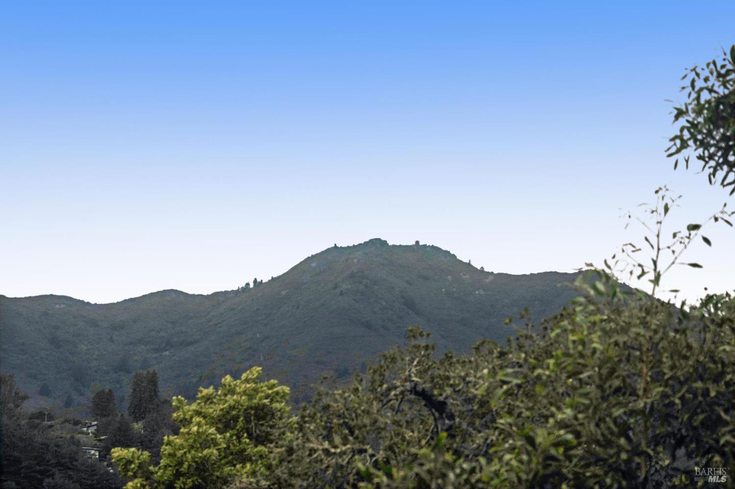 17 Coronet Avenue Mill Valley CA 94941