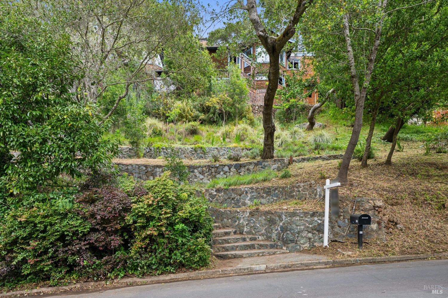 17 Coronet Avenue Mill Valley CA 94941