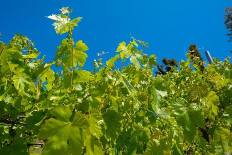 5159 Vista Grande Drive Santa Rosa CA 95403