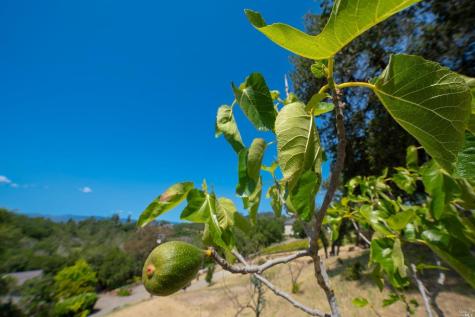 5159 Vista Grande Drive Santa Rosa CA 95403