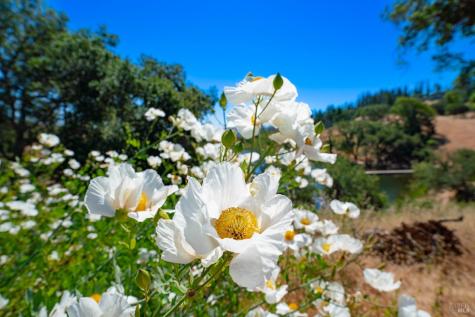 5000 Upper Ridge Road Santa Rosa CA 95404