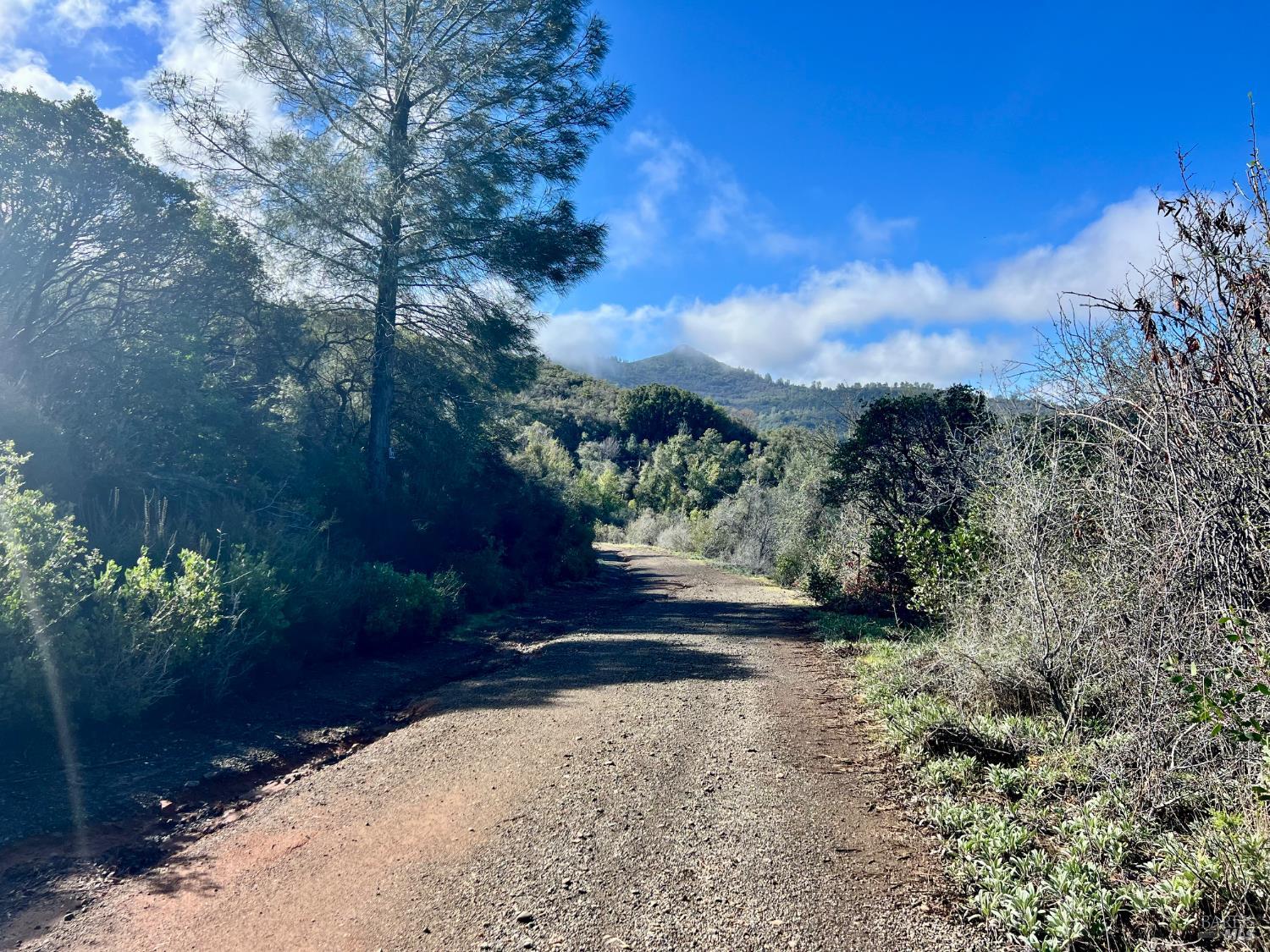 7205 Grande Vista Drive Kelseyville CA 95451