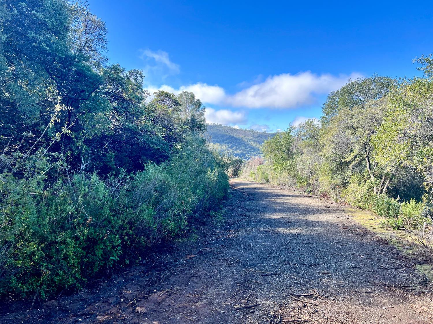 7205 Grande Vista Drive Kelseyville CA 95451