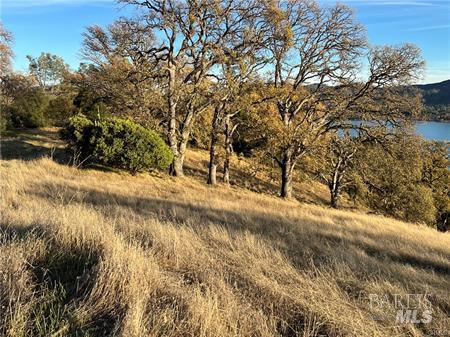 11872 Konocti Drive Clearlake Oaks CA 95423