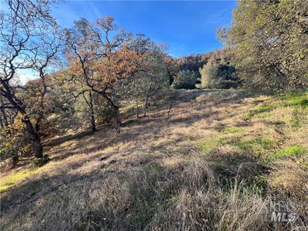 11872 Konocti Drive Clearlake Oaks CA 95423