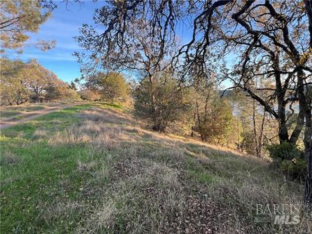 11872 Konocti Drive Clearlake Oaks CA 95423