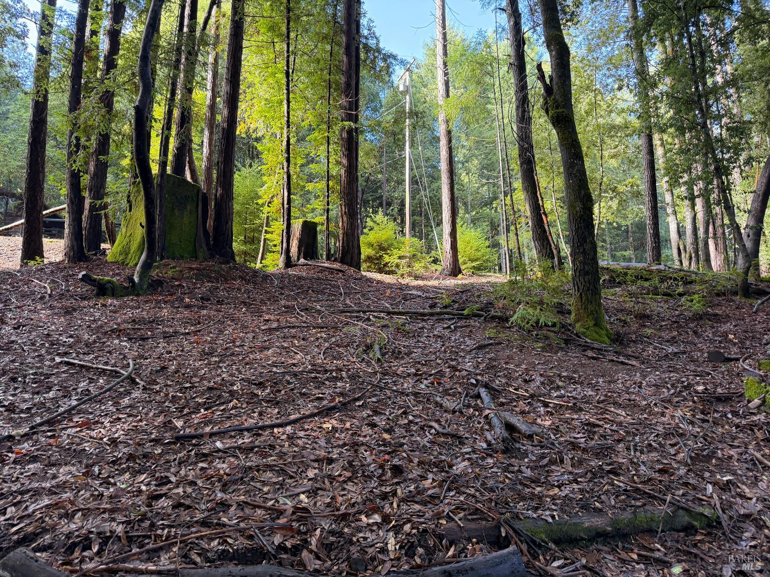 27089 Otter Court Willits CA 95490