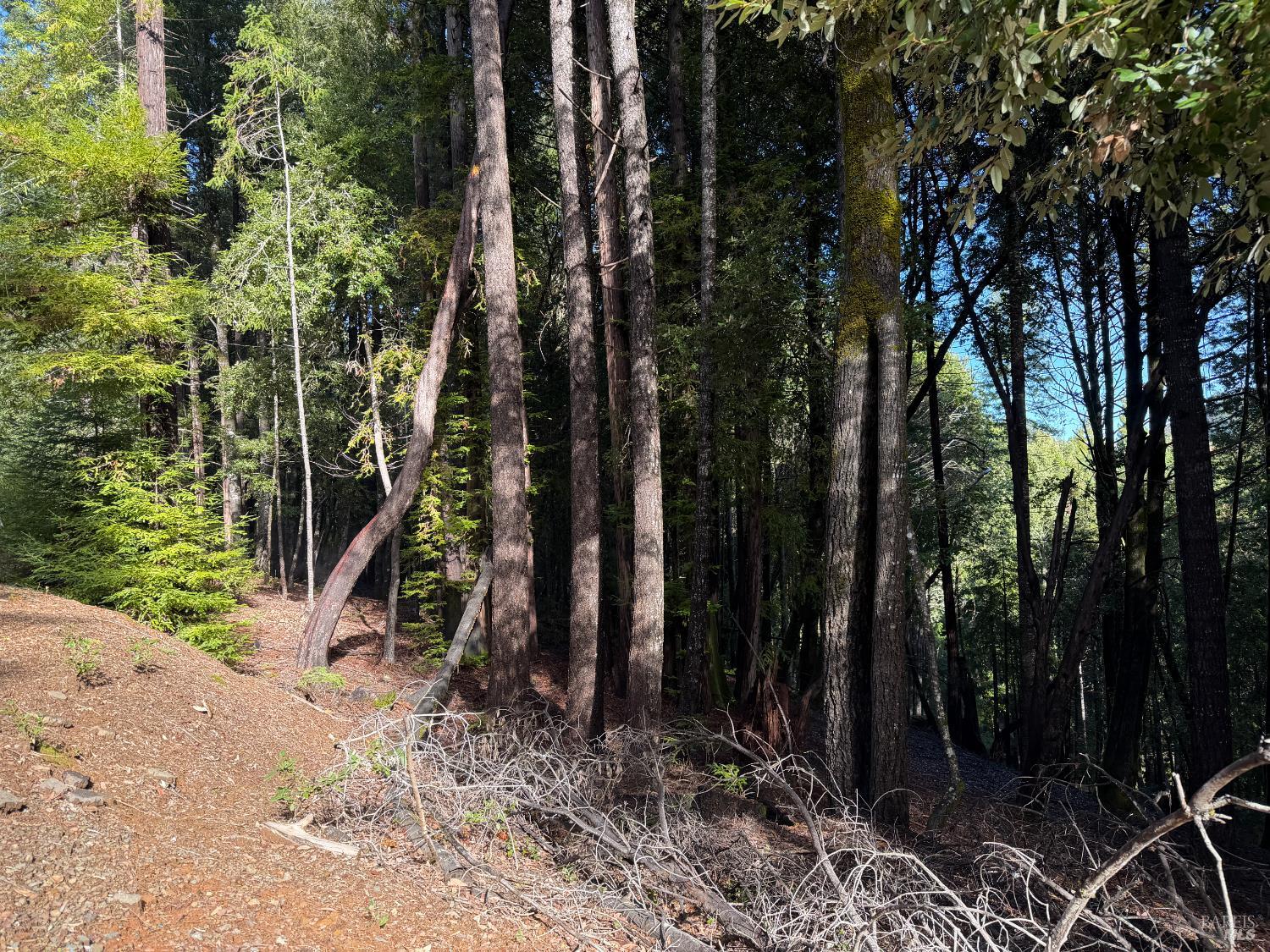 27089 Otter Court Willits CA 95490